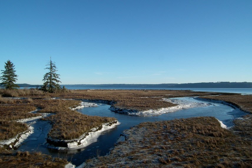 Dosewallips State Park, Washington, USA
